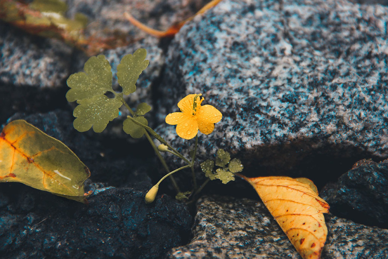 Подведены итоги ежегодного фотоконкурса «Внутренний мир» в 2020 году среди психологов силовых структур