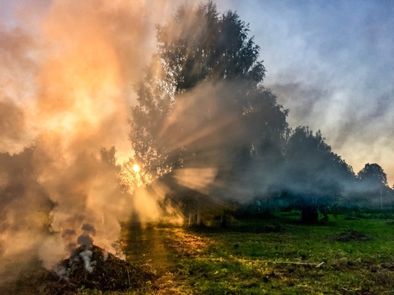 Подведены итоги ежегодного фотоконкурса «Внутренний мир» в 2020 году среди психологов силовых структур