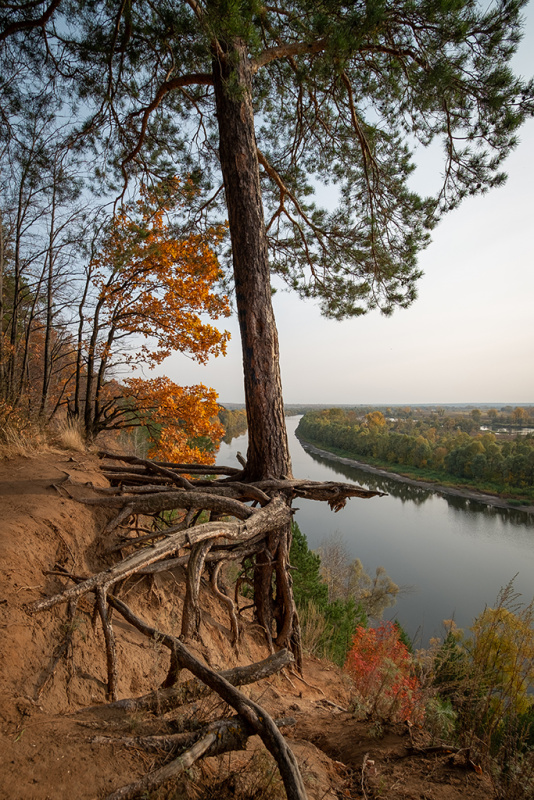 Подведены итоги ежегодного фотоконкурса «Внутренний мир» в 2020 году среди психологов силовых структур
