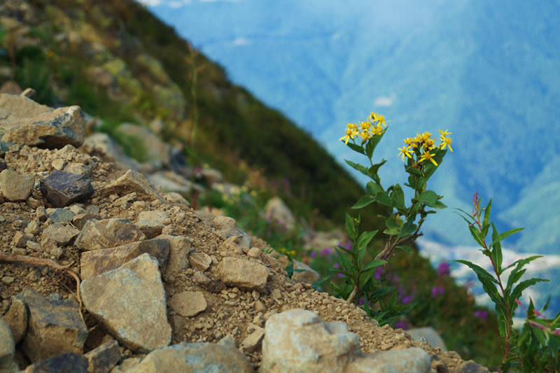 Подведены итоги ежегодного фотоконкурса «Внутренний мир» в 2020 году среди психологов силовых структур