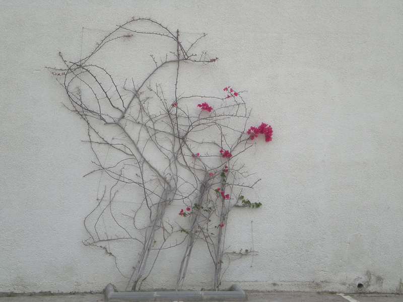 Подведены итоги ежегодного фотоконкурса «Внутренний мир» в 2020 году среди психологов силовых структур