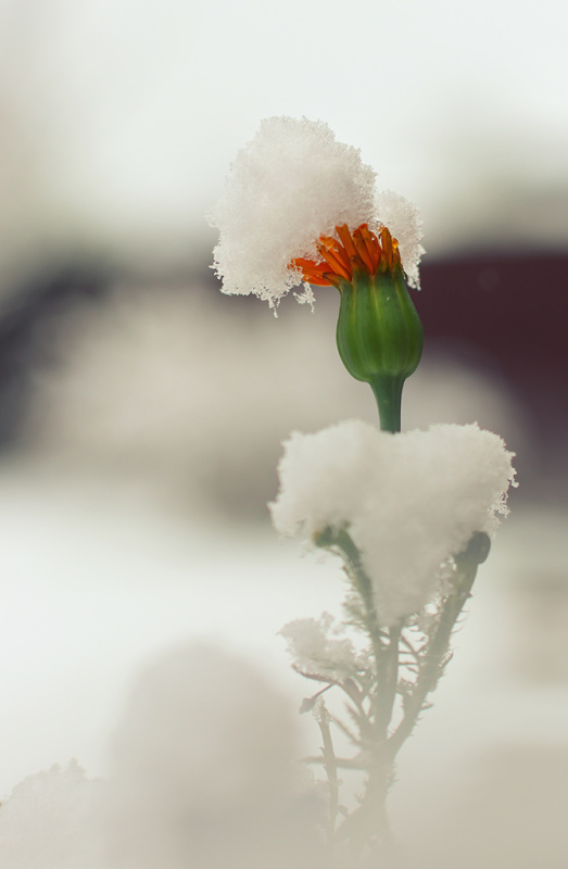 Подведены итоги ежегодного фотоконкурса «Внутренний мир» в 2020 году среди психологов силовых структур