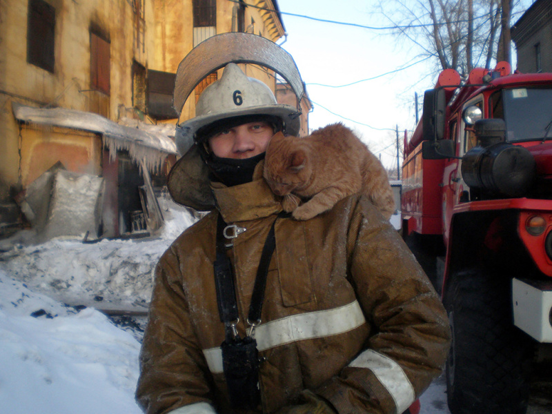 Подведены итоги ежегодного фотоконкурса «Внутренний мир» в 2020 году среди психологов силовых структур