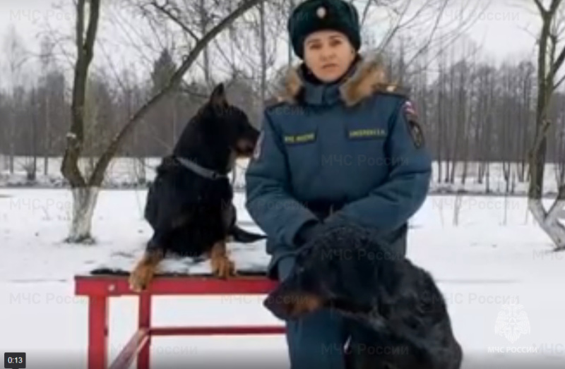 МЧС России рассказывает о своих сотрудницах выдающихся профессий