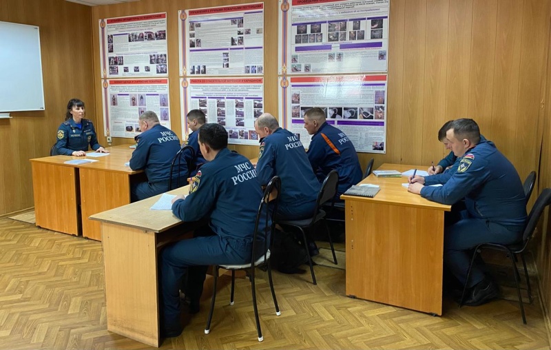 Психологи Красноярского края приступили к проведению циклов занятий по психологической подготовке для личного состава МЧС России