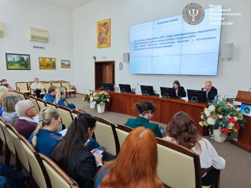 Деловая программа четвертого дня научно-практической конференции Психологической службы МЧС России посвящена вопросам медико-психологической реабилитации и новым подходам в изучении ПТСР