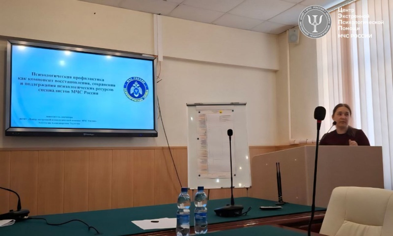 Эксперты ЦЭПП МЧС России приняли участие в Международной научной конференции РАН «Способности и ресурсы человека в изменяющемся мире»