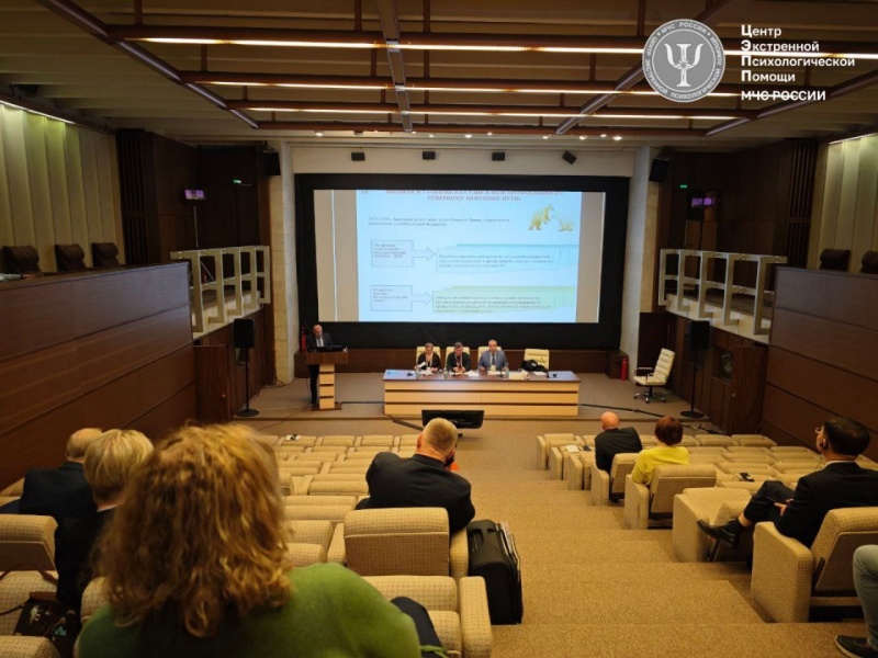 Юлия Шойгу: Наши специалисты регулярно привлекаются к оказанию экстренной психологической помощи в рамках международного гуманитарного реагирования