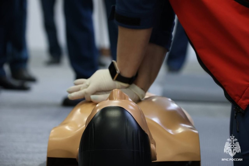 На Общественном совете при МЧС России директор ЦЭПП МЧС России Юлия Шойгу представила работу по популяризации первой помощи и психологической поддержки среди населения