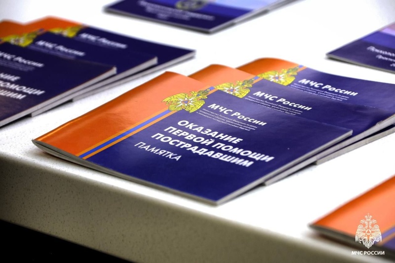 На Общественном совете при МЧС России директор ЦЭПП МЧС России Юлия Шойгу представила работу по популяризации первой помощи и психологической поддержки среди населения