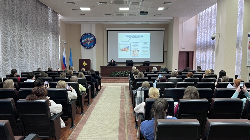 Методическое занятие с психологами системы РСЧС прошло в Главном управлении МЧС России по Нижегородской области