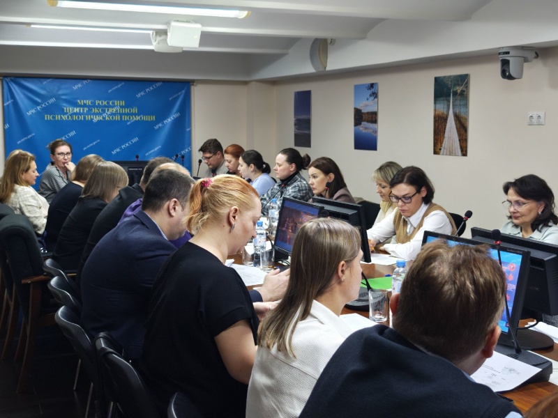 На Методическом совете ЦЭПП МЧС России представили результаты научно-методических исследований