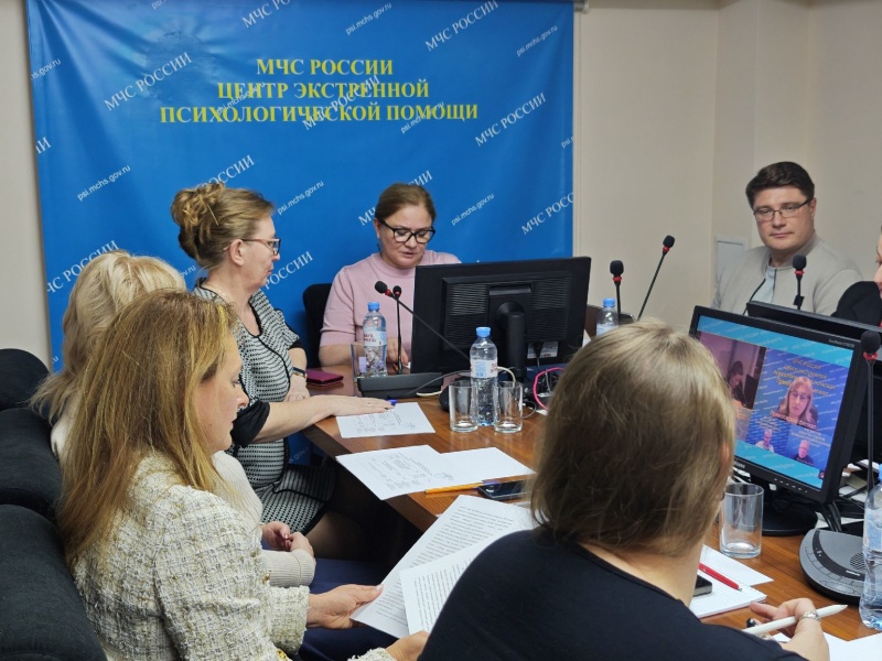 На Методическом совете ЦЭПП МЧС России представили результаты научно-методических исследований