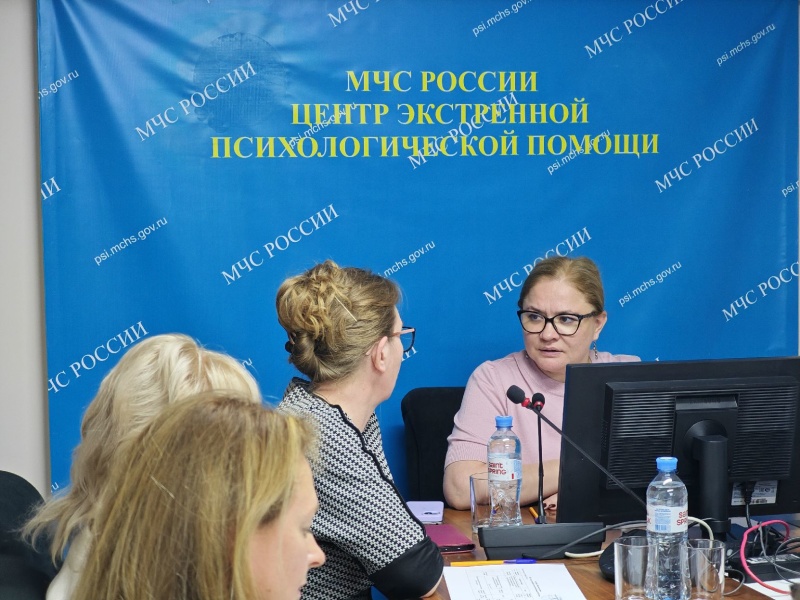 На Методическом совете ЦЭПП МЧС России представили результаты научно-методических исследований