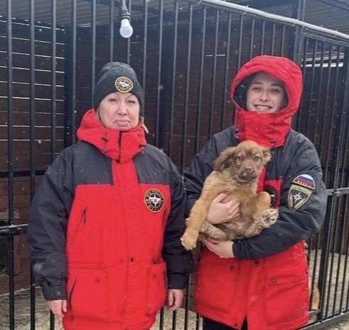 Акция “35 полезных дел” – это часть корпоративной культуры ответственности и взаимопомощи!