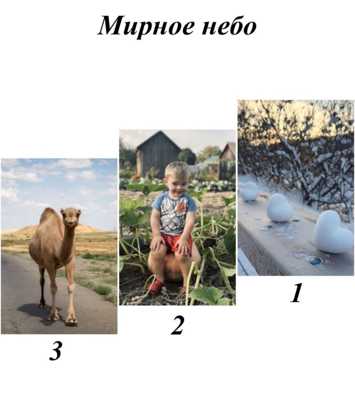 Определены победители конкурса «Внутренний мир-2025»