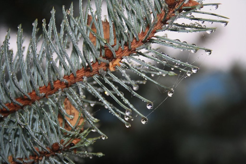 Сегодня стартует новый сезон ведомственного фотоконкурса «Внутренний мир»