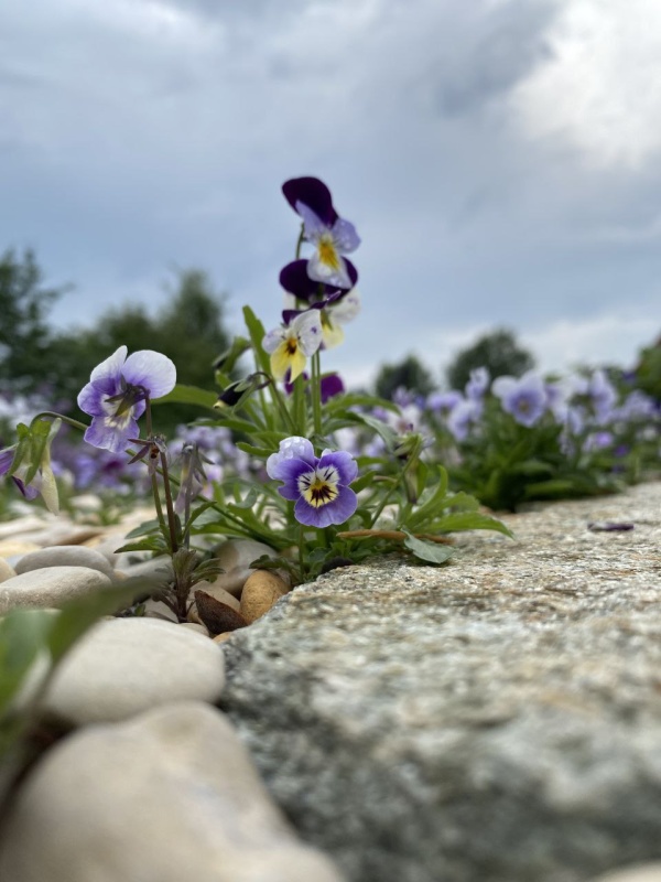 Сегодня стартует новый сезон ведомственного фотоконкурса «Внутренний мир»